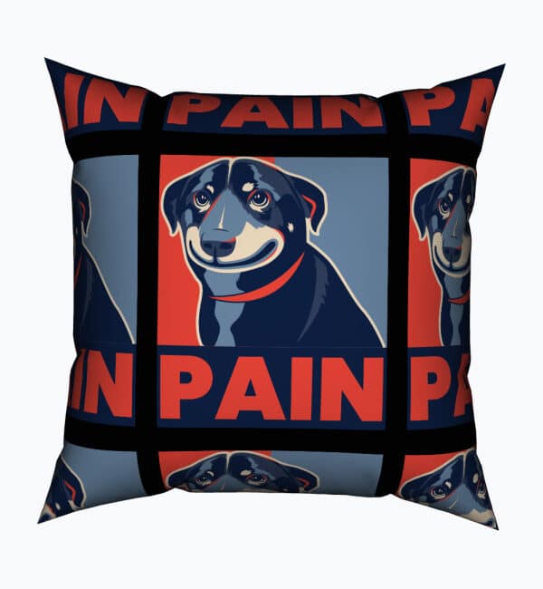 Pain Outdoor Water Resistant Square Cushion